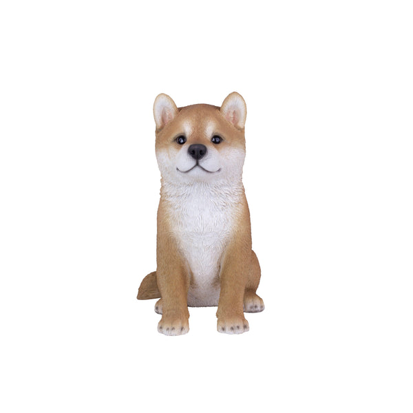 SoReal - Shiba Inu