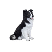 Load image into Gallery viewer, SoReal -  Sheepdog
