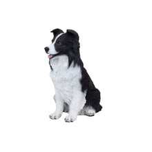 Load image into Gallery viewer, SoReal -  Sheepdog
