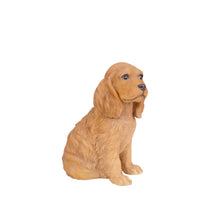 Load image into Gallery viewer, SoReal: Brown Cockapoo

