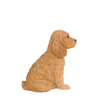 Load image into Gallery viewer, SoReal: Brown Cockapoo
