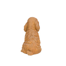 Load image into Gallery viewer, SoReal: Brown Cockapoo
