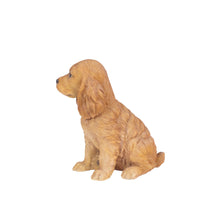 Load image into Gallery viewer, SoReal: Brown Cockapoo
