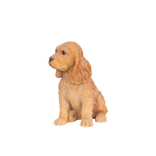 Load image into Gallery viewer, SoReal: Brown Cockapoo

