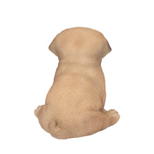 Load image into Gallery viewer, SoReal - Baby Pug Brown
