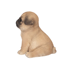 Load image into Gallery viewer, SoReal - Baby Pug Brown
