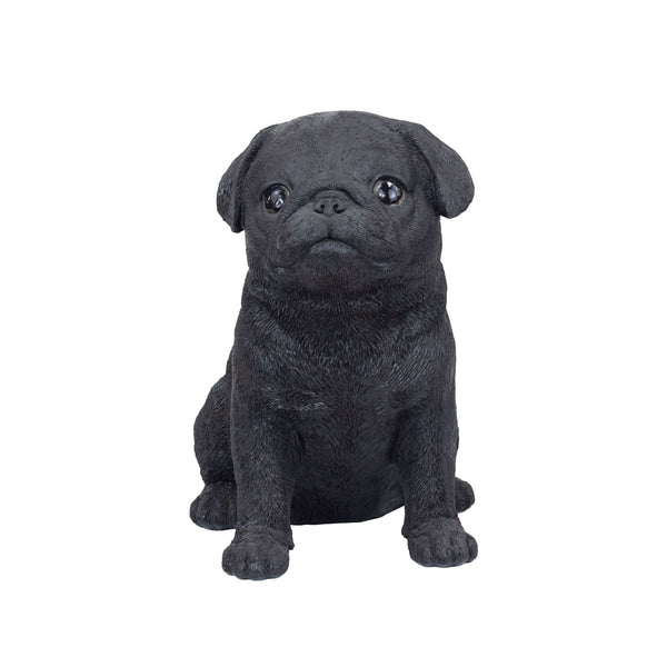SoReal - Baby Pug Black
