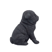 Load image into Gallery viewer, SoReal - Baby Pug Black
