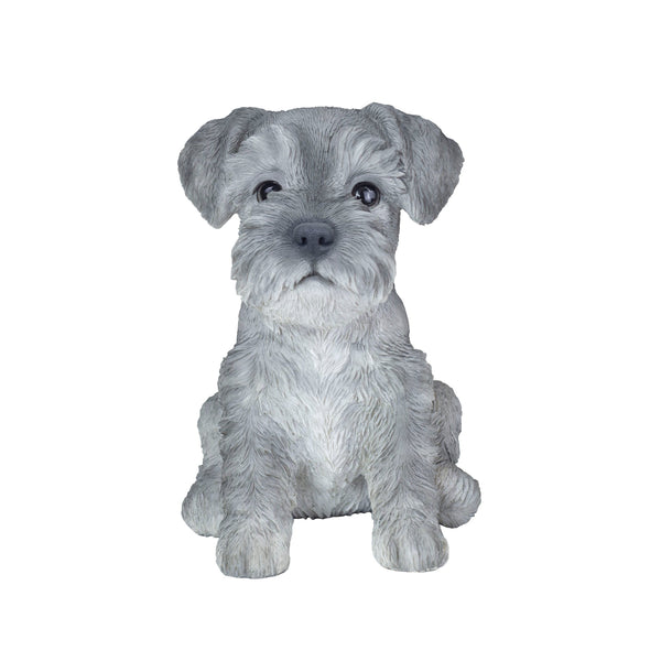 SoReal - Baby Schnauzer