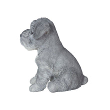 Load image into Gallery viewer, SoReal - Baby Schnauzer
