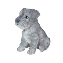 Load image into Gallery viewer, SoReal - Baby Schnauzer
