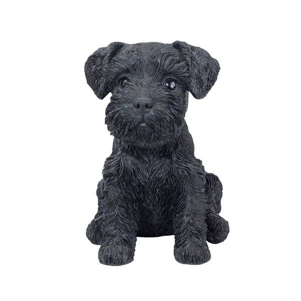SoReal - Baby Schnauzer Black