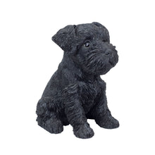 Load image into Gallery viewer, SoReal - Baby Schnauzer Black
