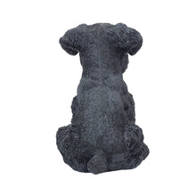Load image into Gallery viewer, SoReal - Baby Schnauzer Black
