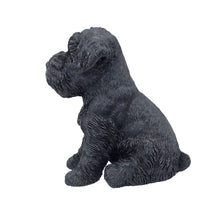 Load image into Gallery viewer, SoReal - Baby Schnauzer Black
