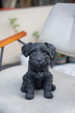 Load image into Gallery viewer, SoReal - Baby Schnauzer Black
