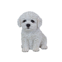 Load image into Gallery viewer, SoReal - Baby Bichon Frise
