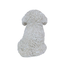 Load image into Gallery viewer, SoReal - Baby Bichon Frise
