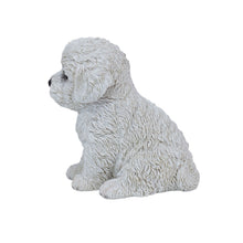 Load image into Gallery viewer, SoReal - Baby Bichon Frise
