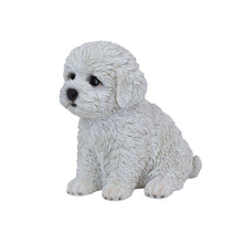 Load image into Gallery viewer, SoReal - Baby Bichon Frise
