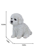Load image into Gallery viewer, SoReal - Baby Bichon Frise
