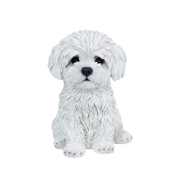 SoReal - Baby Maltese