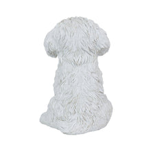 Load image into Gallery viewer, SoReal - Baby Maltese
