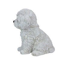 Load image into Gallery viewer, SoReal - Baby Maltese
