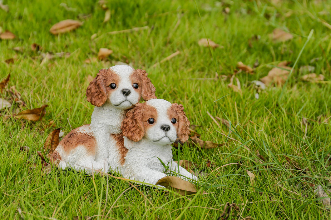 87637-A - KING CHARLES PUPPIES SITTING