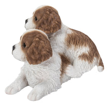 Load image into Gallery viewer, 87637-A - KING CHARLES PUPPIES SITTING
