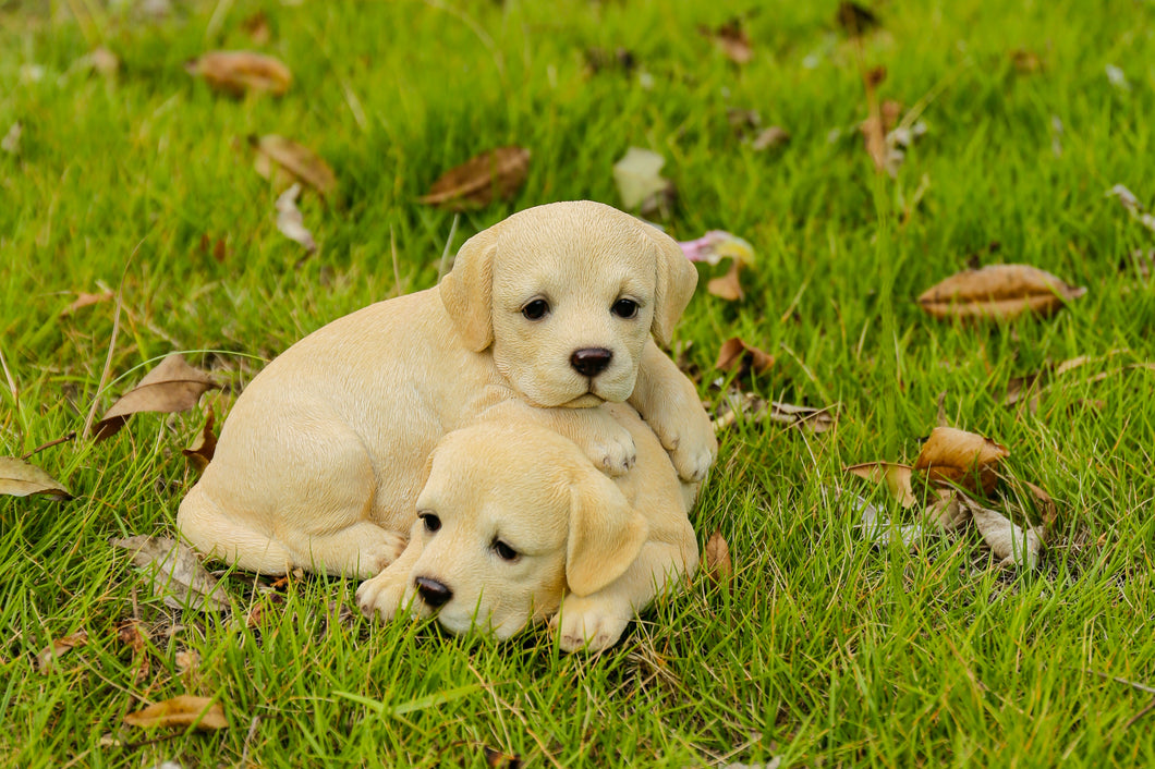 87637-B - BABY LABRADORS PLAYING