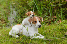 Load image into Gallery viewer, 87638-A - MOTHER &amp; BABY JACK RUSSELL
