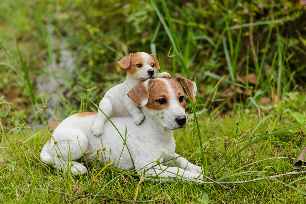 87638-A - MOTHER & BABY JACK RUSSELL