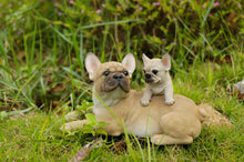 Load image into Gallery viewer, MOTHER &amp; BABY FRENCH BULLDOG
