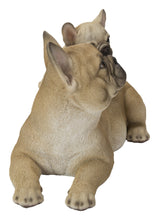 Load image into Gallery viewer, 87638-C - MOTHER &amp; BABY FRENCH BULLDOG
