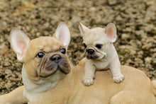 Load image into Gallery viewer, 87638-C - MOTHER &amp; BABY FRENCH BULLDOG
