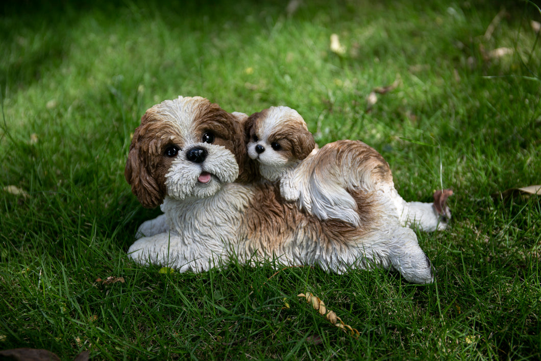 87638-E - MOTHER & BABY SHIH TZU