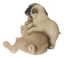 Load image into Gallery viewer, 87638-F - MOTHER &amp; BABY PUGS
