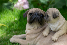 Load image into Gallery viewer, 87638-F - MOTHER &amp; BABY PUGS
