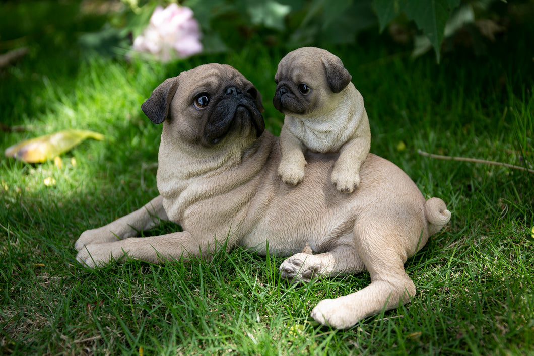 87638-F - MOTHER & BABY PUGS