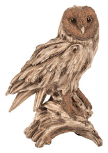 Load image into Gallery viewer, 87650-B - BARN OWL-LARGE -DRIFTWOOD LOOK
