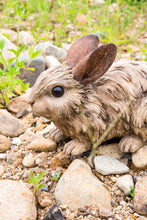 Load image into Gallery viewer, 87650-C - RABBIT-LARGE -DRIFTWOOD LOOK-
