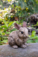 Load image into Gallery viewer, 87650-D - RABBIT-SMALL -DRIFTWOOD LOOK-
