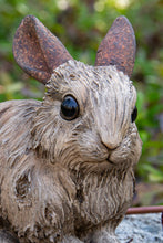 Load image into Gallery viewer, 87650-D - RABBIT-SMALL -DRIFTWOOD LOOK-
