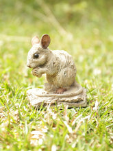Load image into Gallery viewer, MOUSE -DRIFTWOOD LOOK
