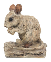 Load image into Gallery viewer, MOUSE -DRIFTWOOD LOOK
