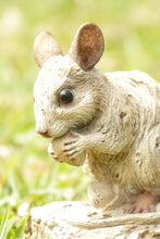 Load image into Gallery viewer, MOUSE -DRIFTWOOD LOOK
