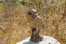 Load image into Gallery viewer, 87650-O - TRUMPET OWL -DRIFTWOOD LOOK-
