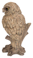 Load image into Gallery viewer, 87650-O - TRUMPET OWL -DRIFTWOOD LOOK-
