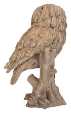 Load image into Gallery viewer, 87650-O - TRUMPET OWL -DRIFTWOOD LOOK-
